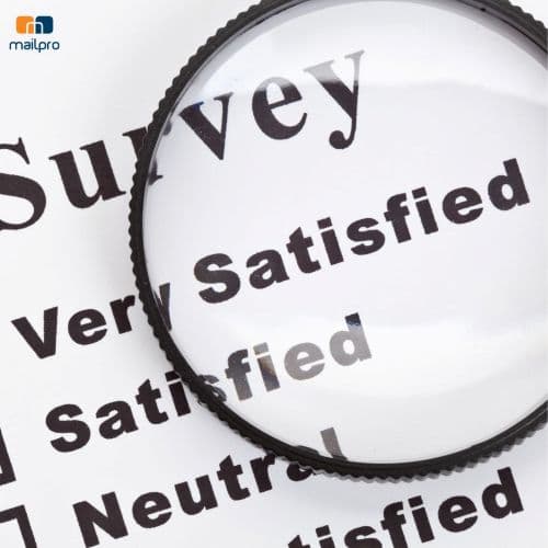 Create your Own Survey
