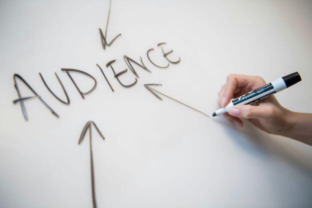 What is Email Marketing Audiance?