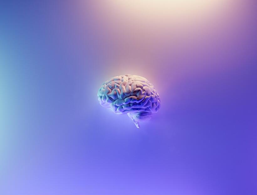 How to Use Neuromarketing in your Next Email Campaign