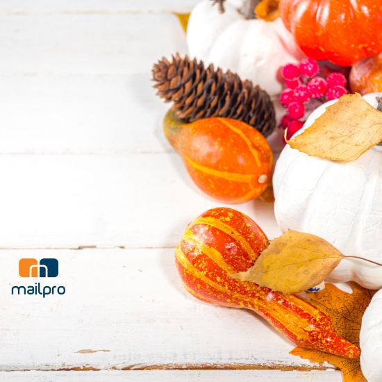 Thanksgiving newsletters