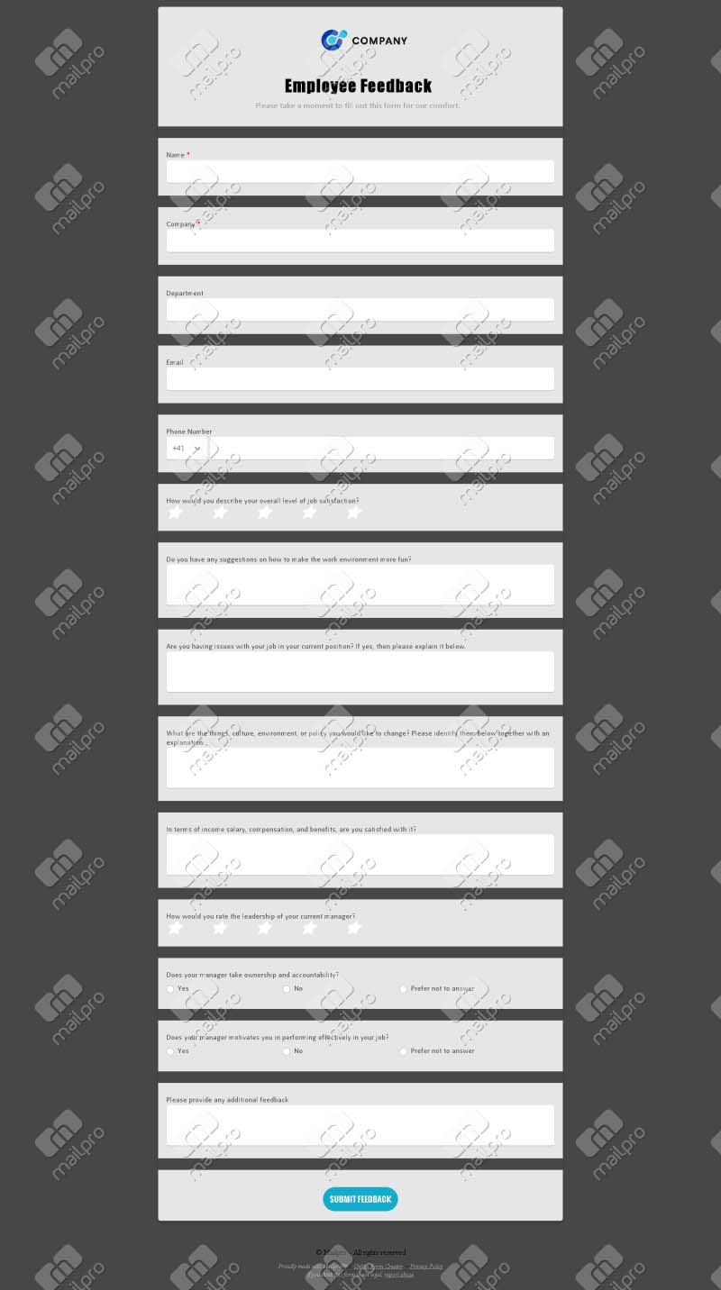 Employee Feedback Form