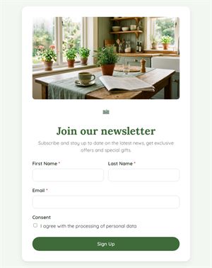 Email Newsletter Sign Up