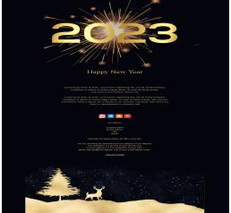 New Year 2023 medium 11