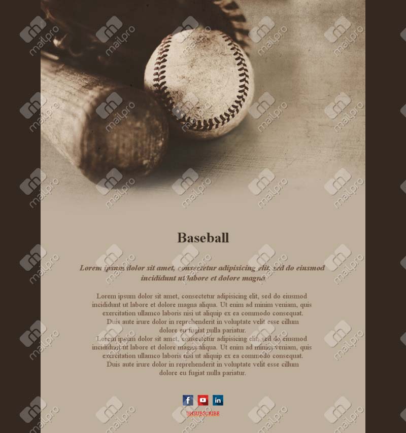 Vibrant Baseball Fan Templates