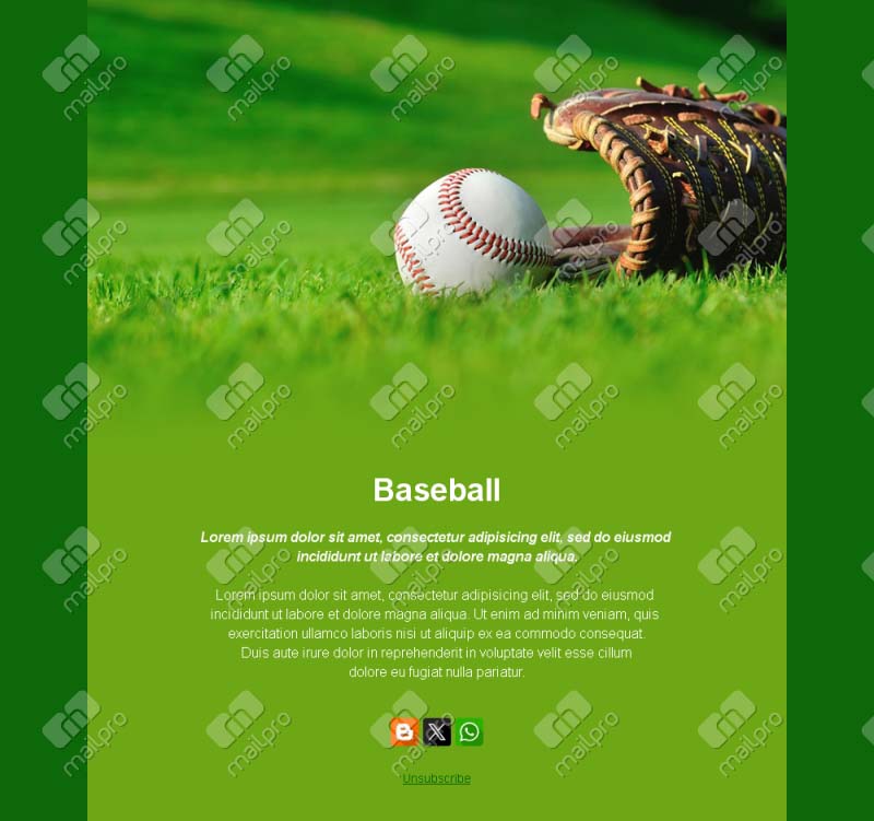Vibrant Baseball Fan Templates
