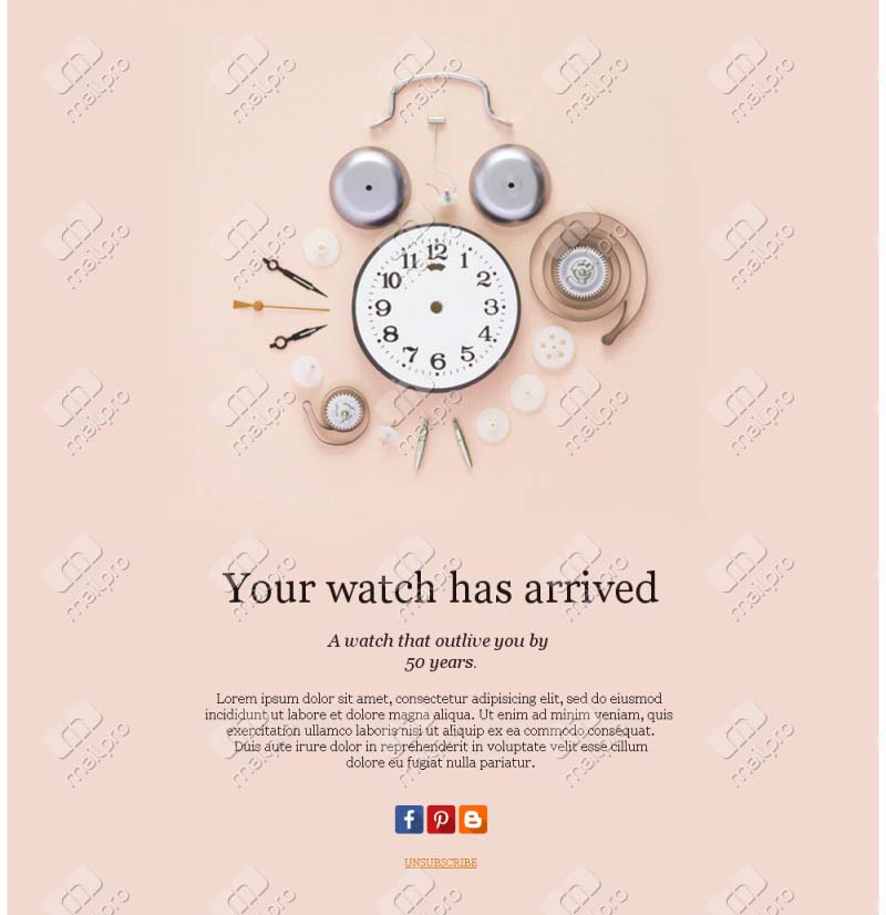 Luxury Watch Collection Templates