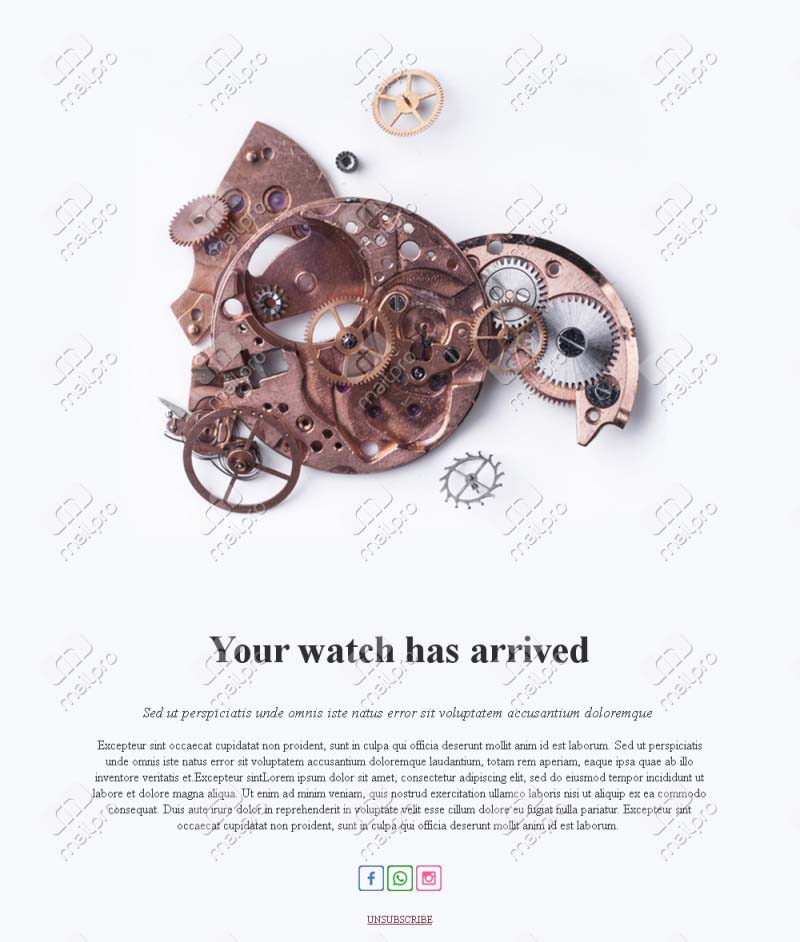 Luxury Watch Collection Templates