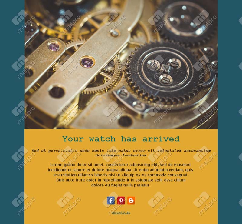 Luxury Watch Collection Templates