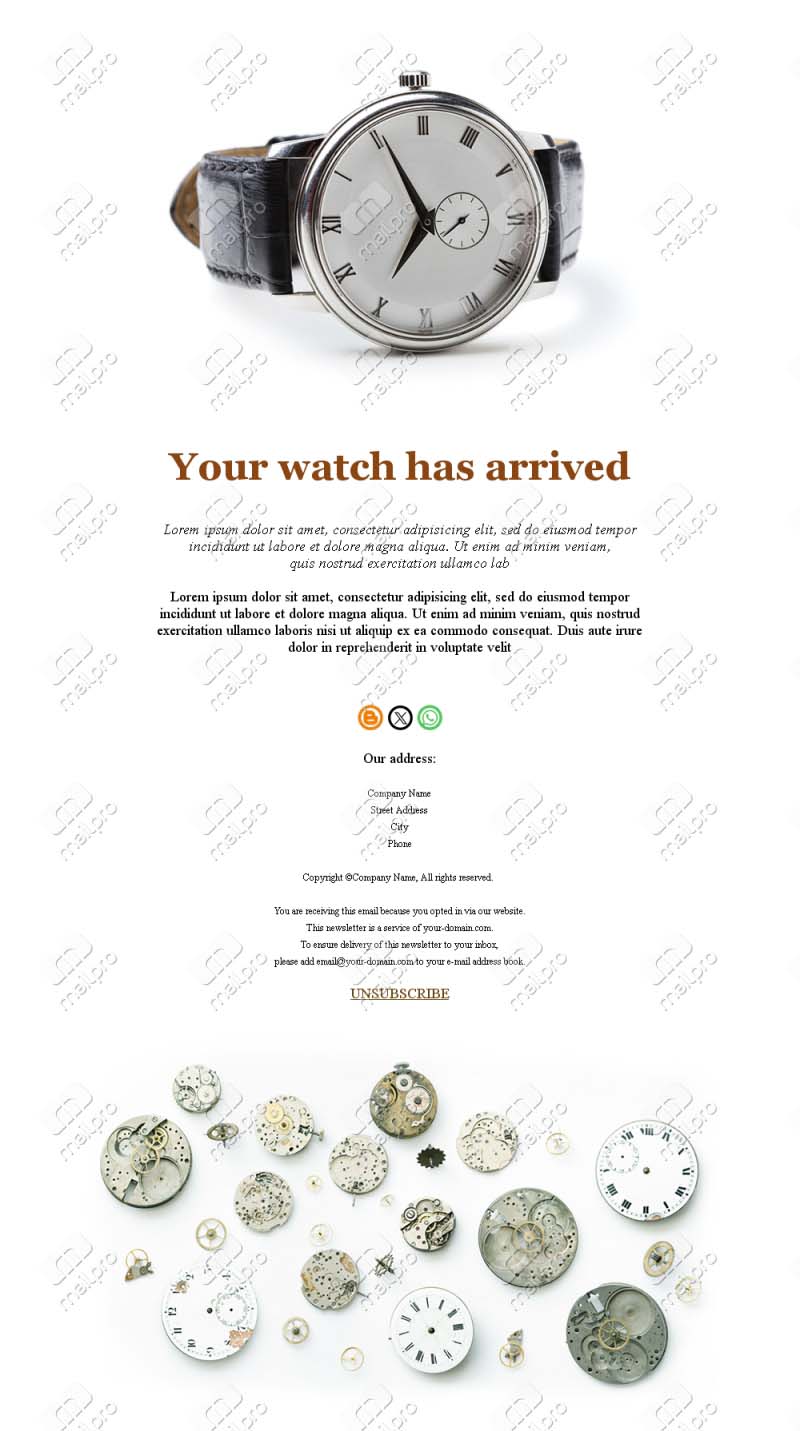 Luxury Watch Collection Templates