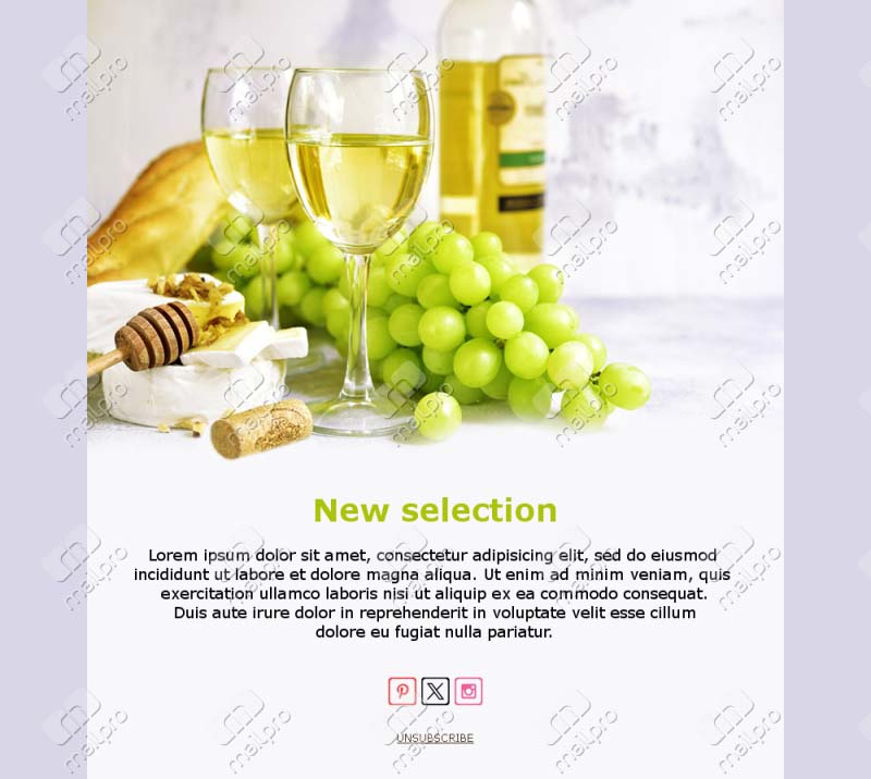 Wine Enthusiasts