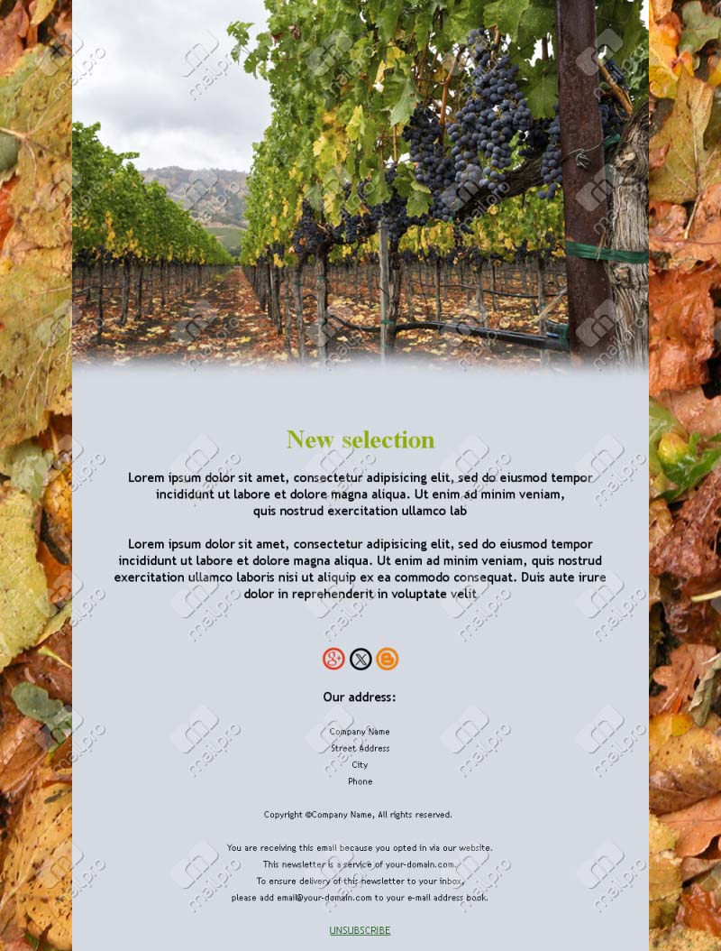 Vineyard Elegance Emails
