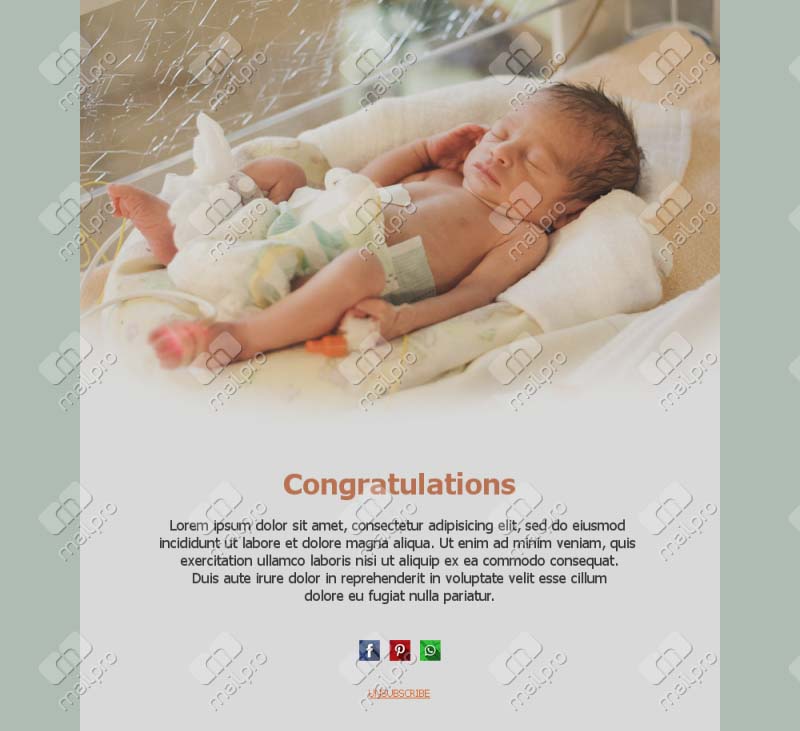 Newborn Joy