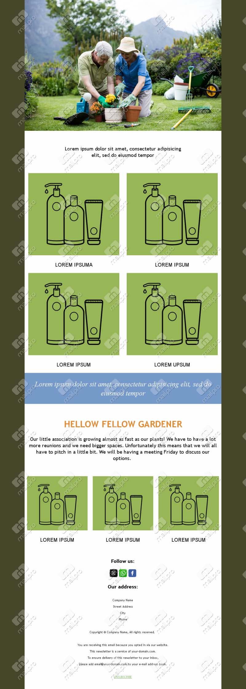 Garden Inspiration