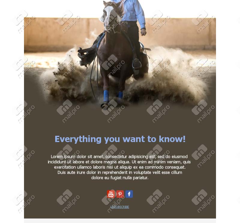 Riding Passion Emails