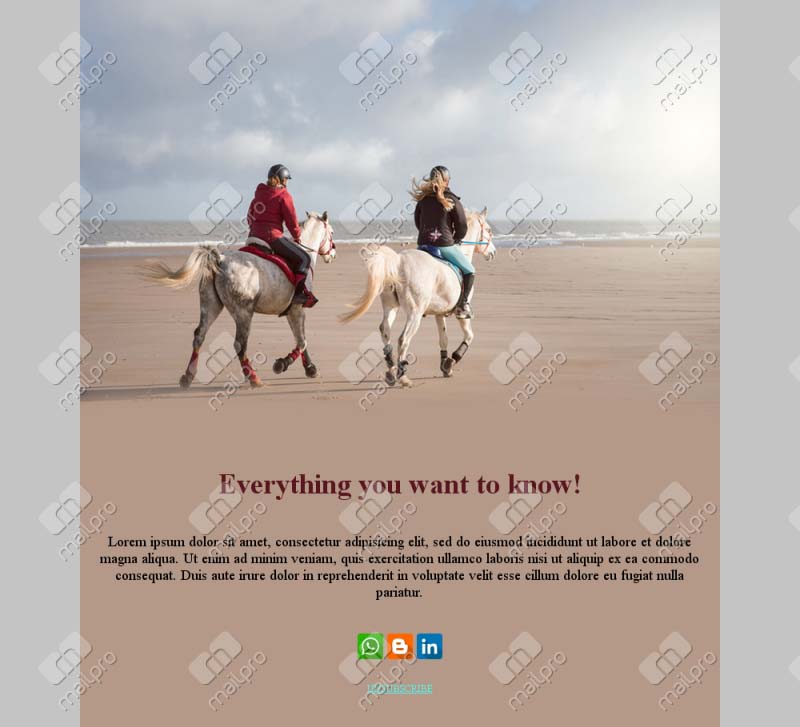 Riding Passion Templates