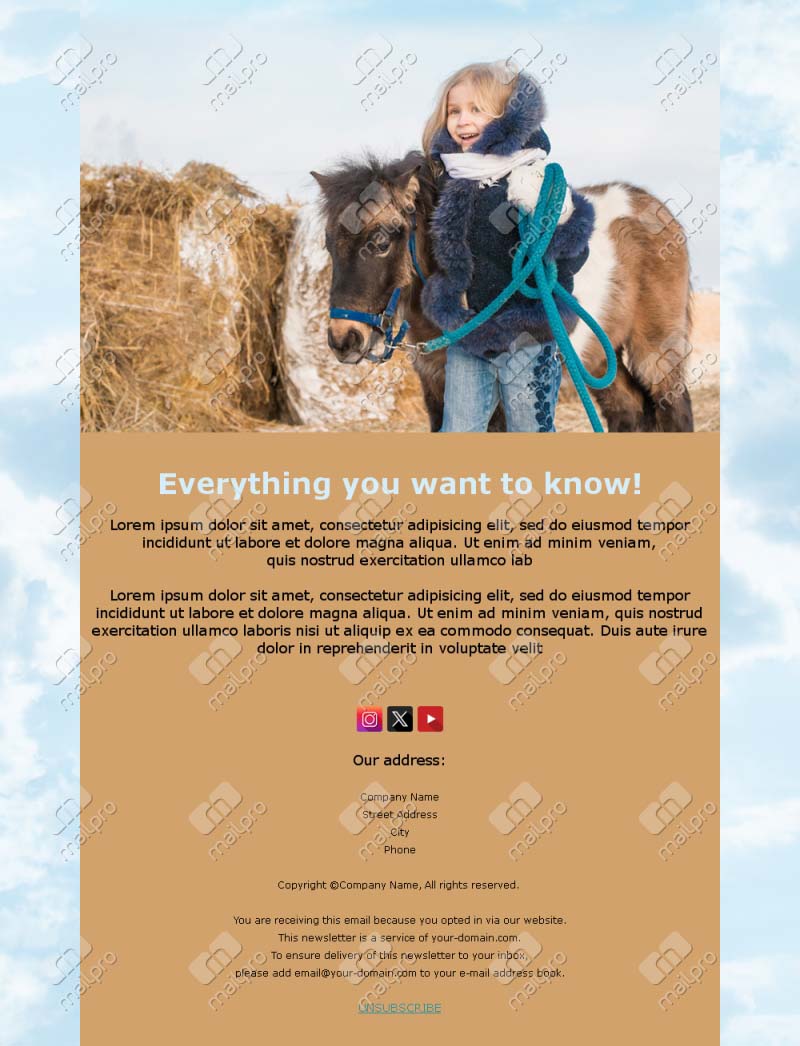 Equestrian Fun