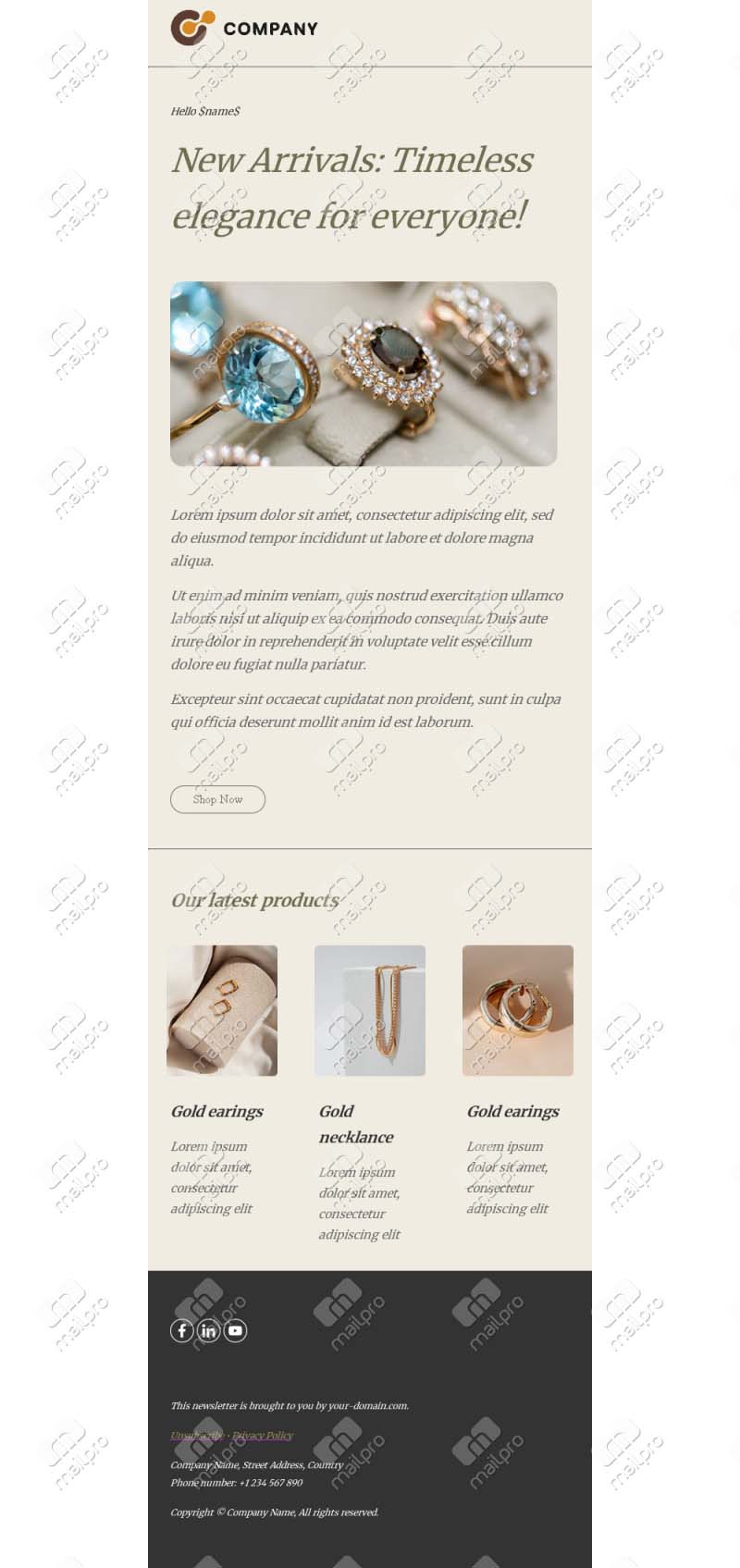 Elegant Jewelry Email Template