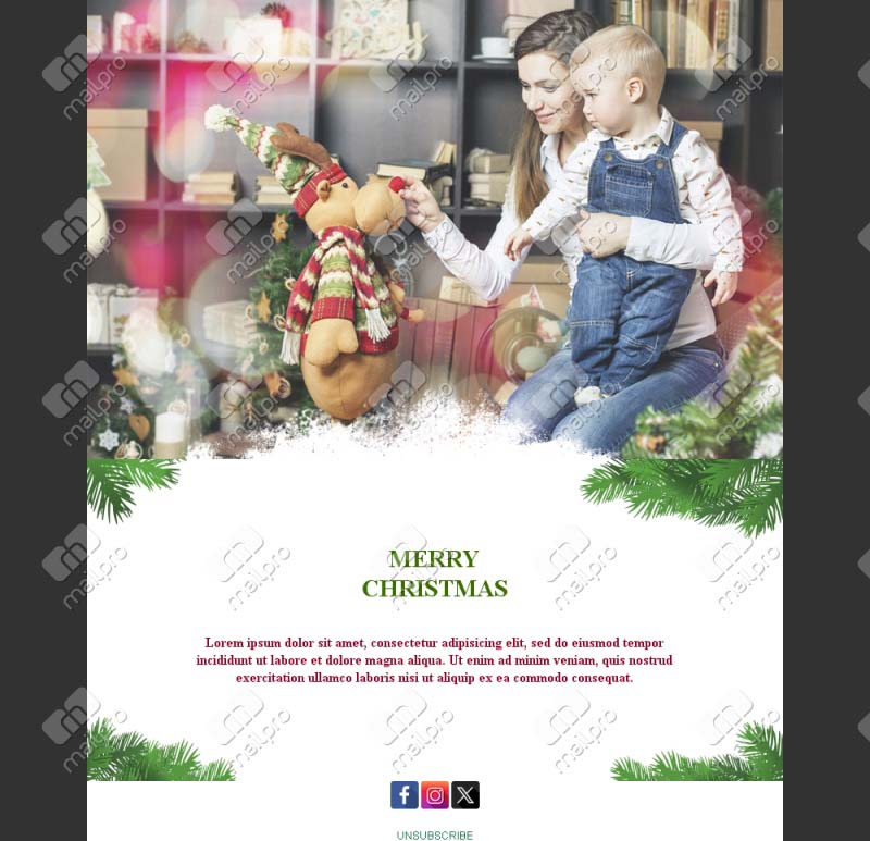 Holiday Email Designs