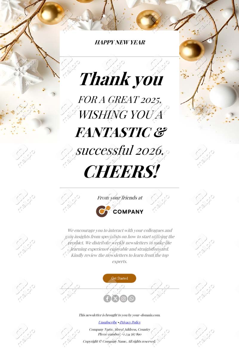 New Year Email 2026