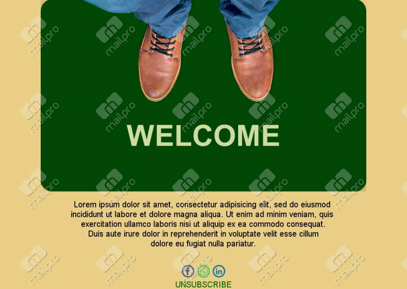 Welcome Email Newsletter