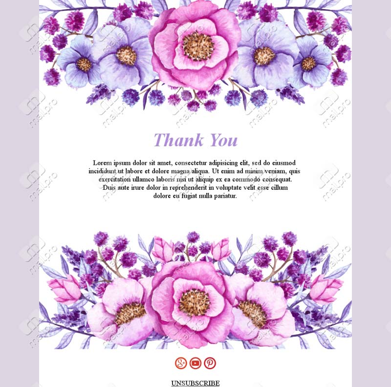 Thank You Email Alerts