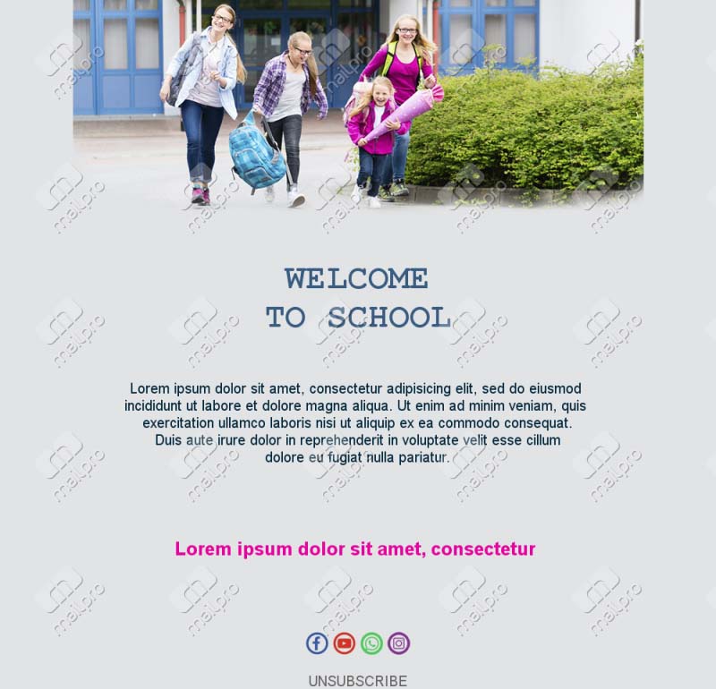 School Newsletter Emails