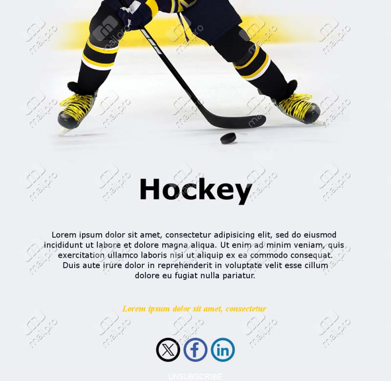 Ice Hockey Email Updates