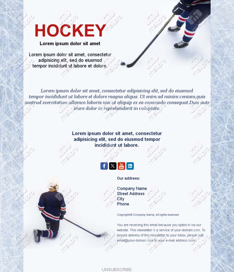 Hockey Update Emails
