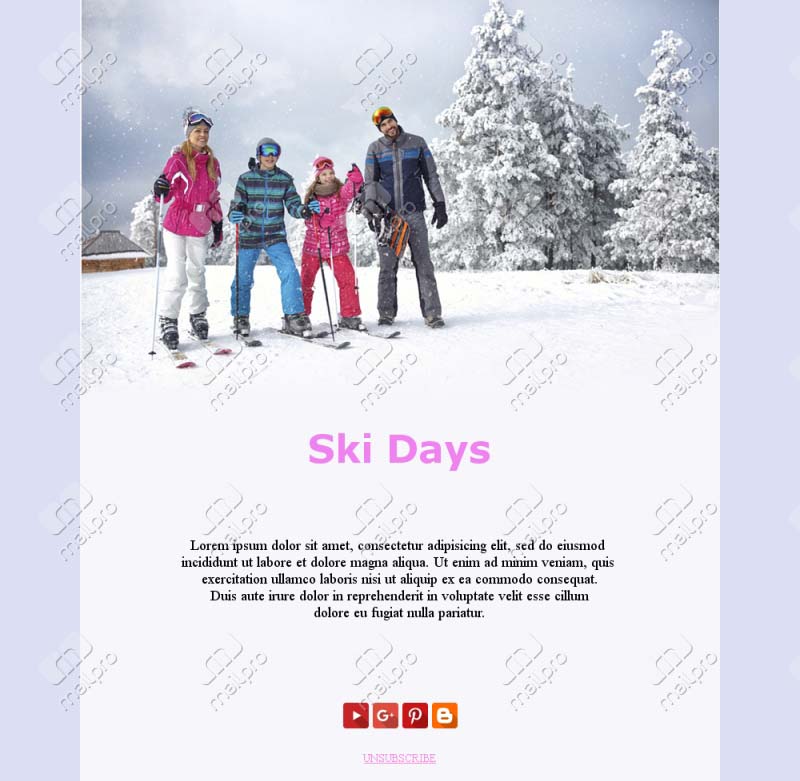Ski Resort Newsletter