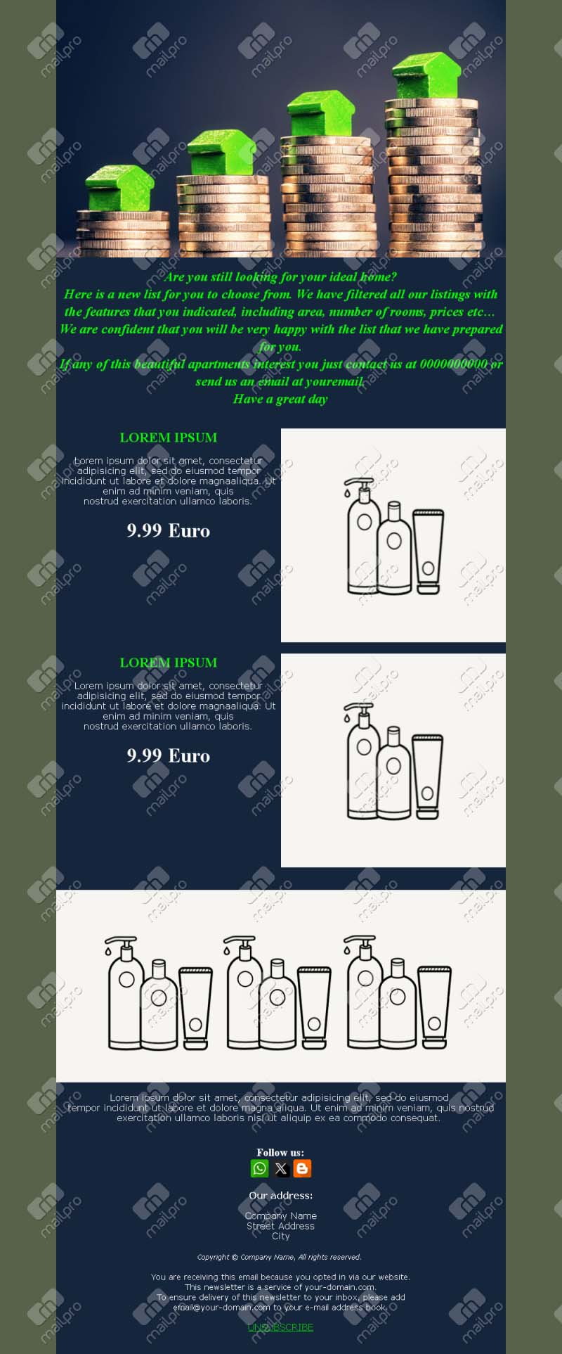 Real Estate Offer Template