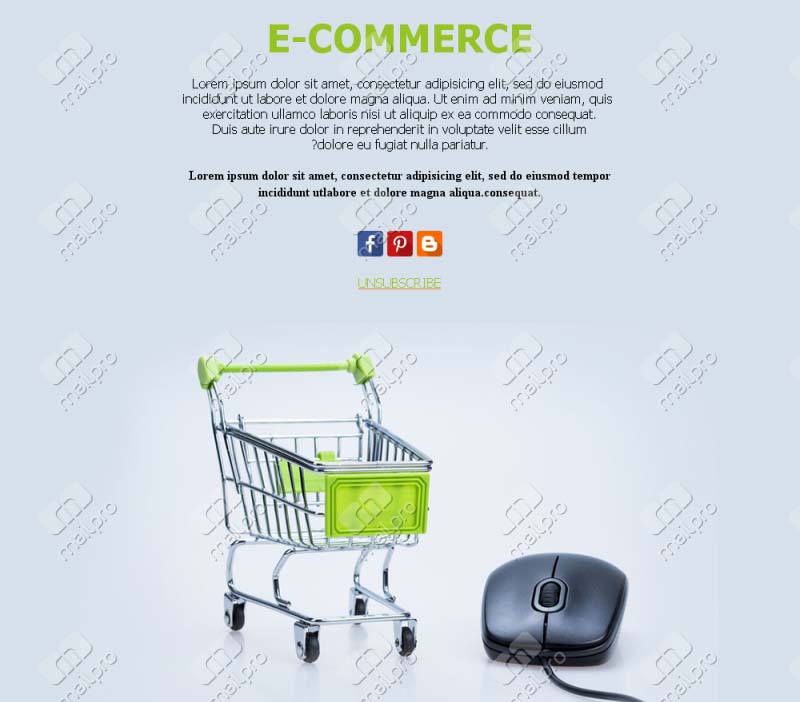 Special Ecommerce Offers