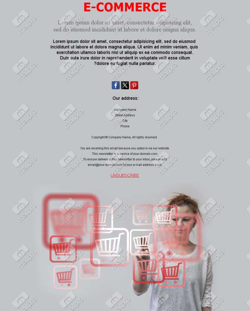Ecommerce Promotions Pro