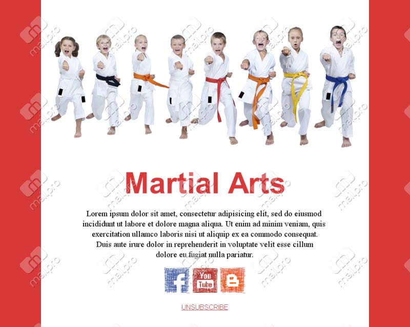 Martial Arts