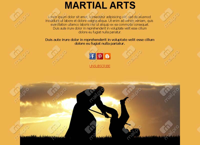 Martial Arts