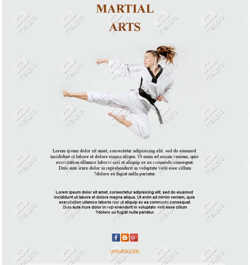 Martial Arts Energy