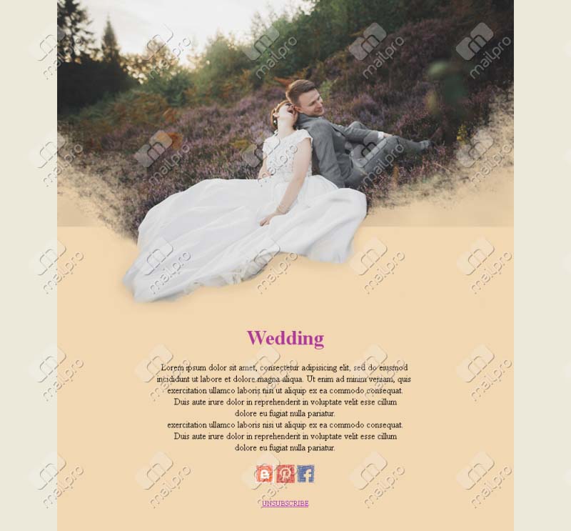 Romantic Wedding Designs