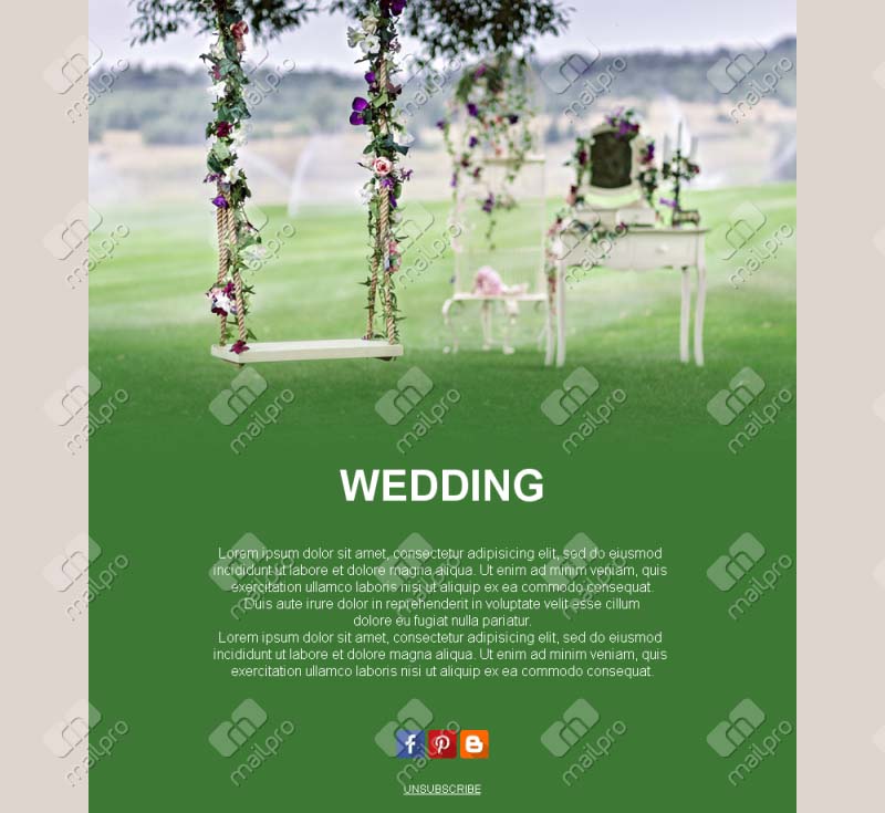Wedding Celebration Emails