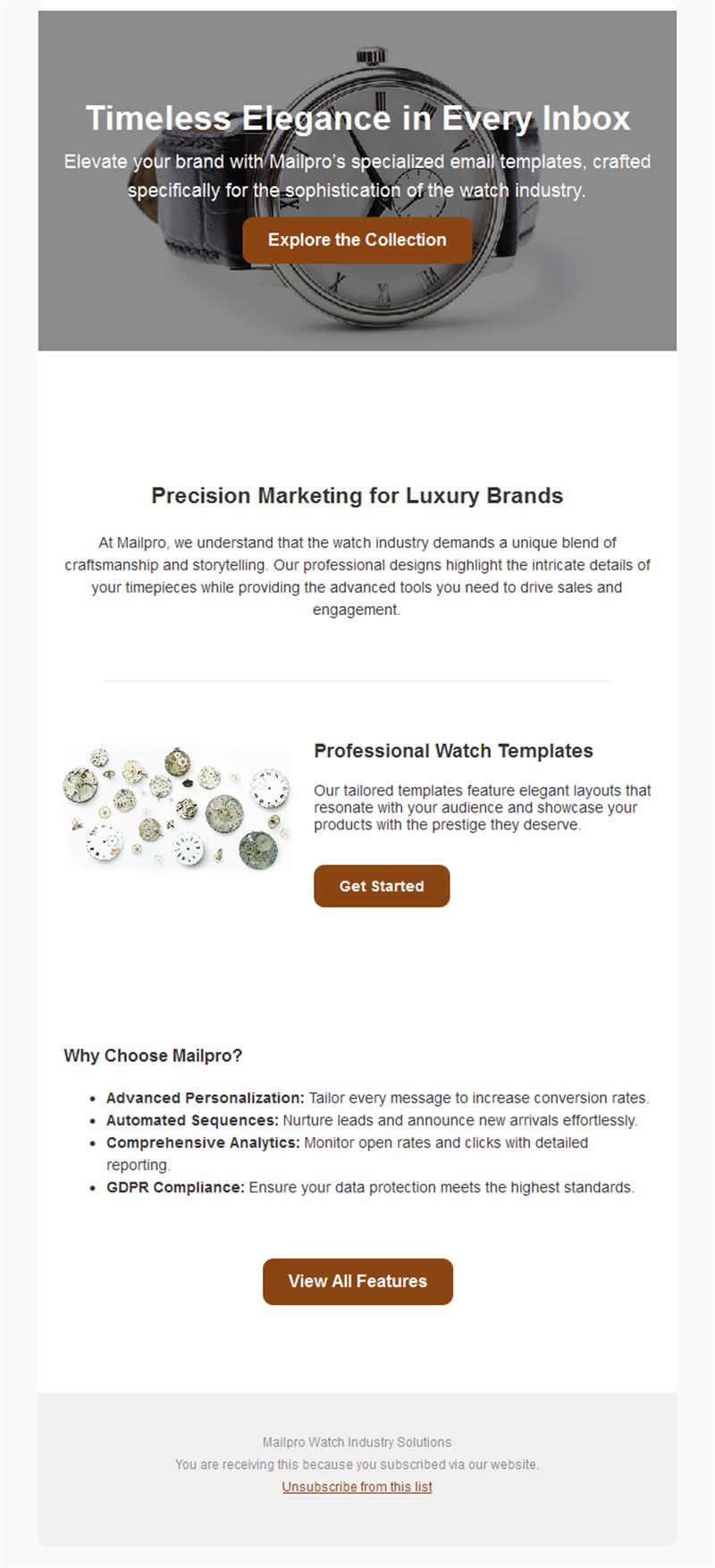 Watch brand email marketing showcase