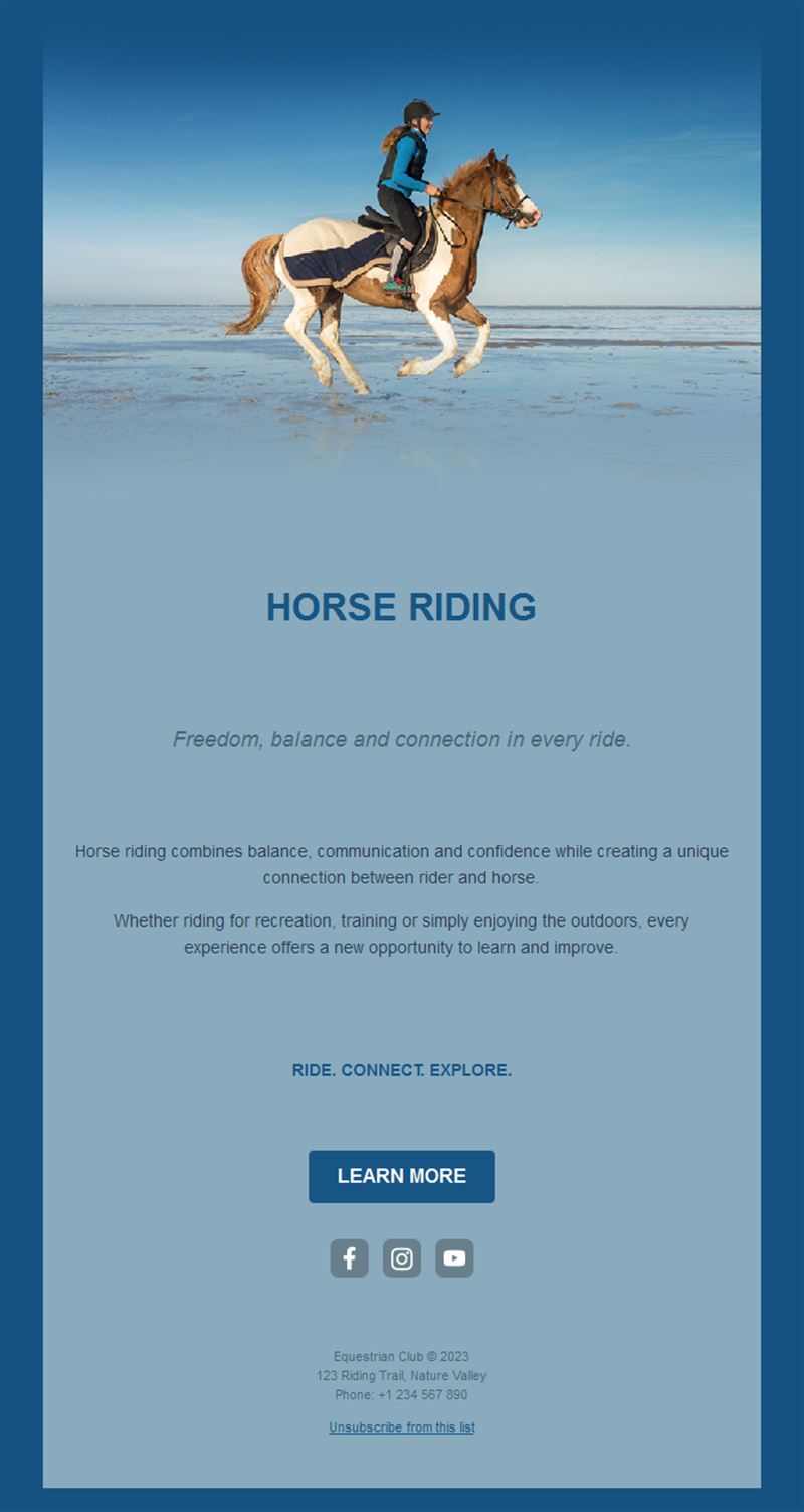 Blue horse riding email by the sea