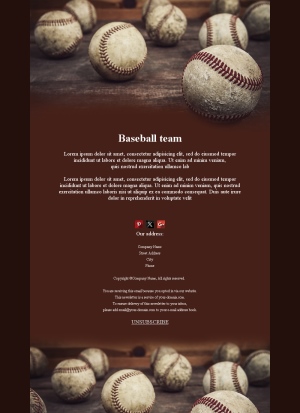 Vibrant Baseball Fan Templates