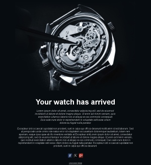 Luxury Watch Collection Templates