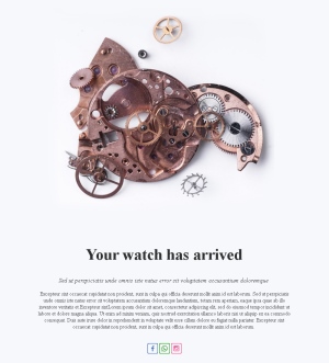 Luxury Watch Collection Templates