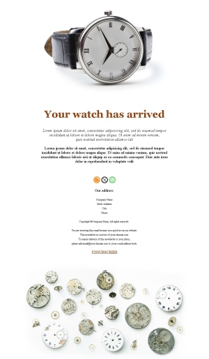 Luxury Watch Collection Templates