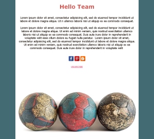 Handball Fan Emails