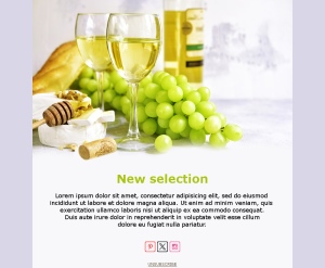 Wine Enthusiasts