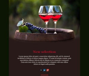 Wine Makers