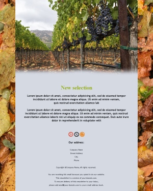 Vineyard Elegance Emails