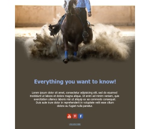Riding Passion Emails