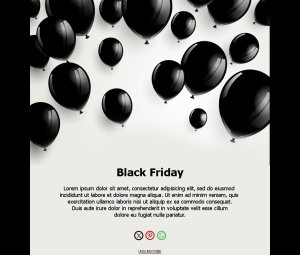Black Friday Offers