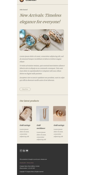 Elegant Jewelry Email Template